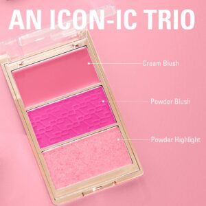 REVOLUTION Blush Icon Palette My Cherry Truth